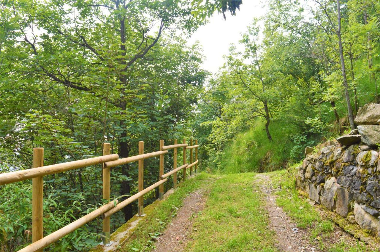 Gold Cave Casa Vacanze Relax Nel Bosco Appartamenti Pessinetto Bagian luar foto