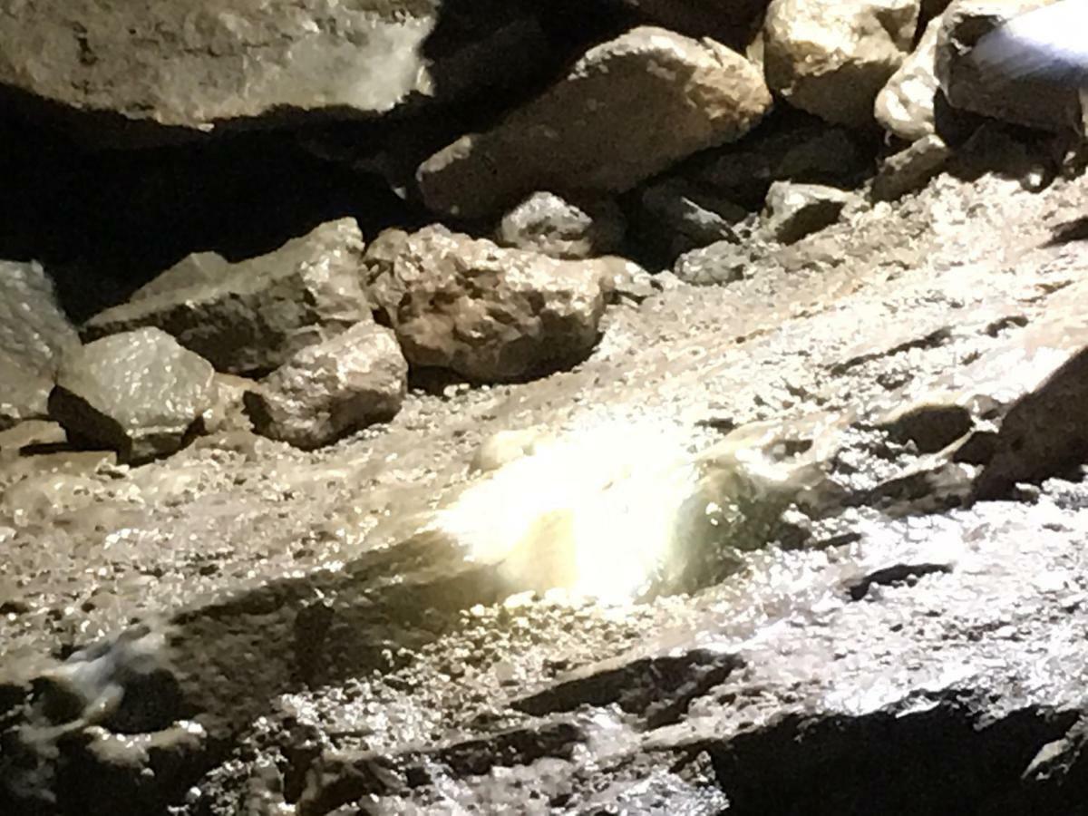Gold Cave Casa Vacanze Relax Nel Bosco Appartamenti Pessinetto Bagian luar foto